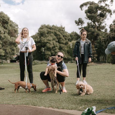 0c9e38445330f2eaf685560069147b8b Basic Obedience